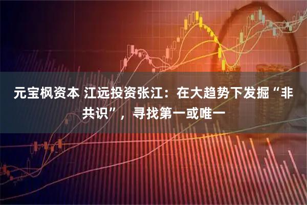 元宝枫资本 江远投资张江：在大趋势下发掘“非共识”，寻找第一或唯一
