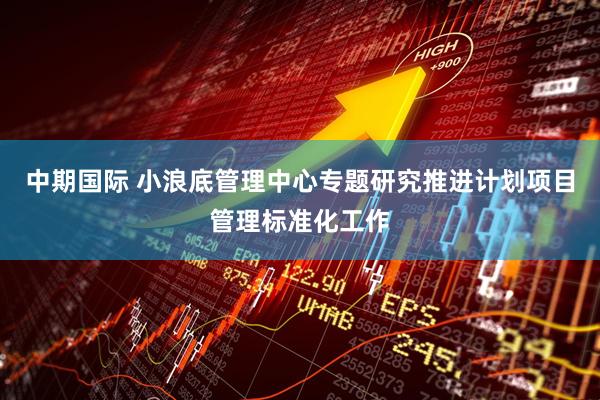中期国际 小浪底管理中心专题研究推进计划项目管理标准化工作
