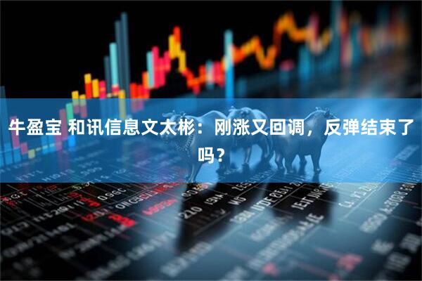 牛盈宝 和讯信息文太彬：刚涨又回调，反弹结束了吗？