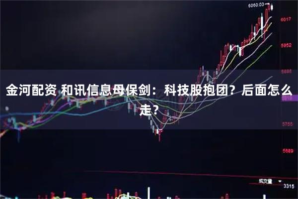 金河配资 和讯信息母保剑：科技股抱团？后面怎么走？