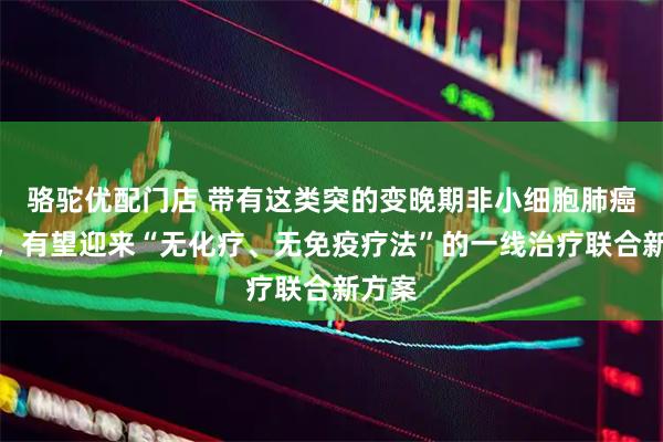骆驼优配门店 带有这类突的变晚期非小细胞肺癌患者,有望迎来“无化疗、无免疫疗法”的一线治疗联合新方案
