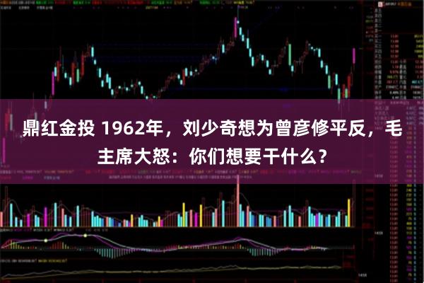 鼎红金投 1962年，刘少奇想为曾彦修平反，毛主席大怒：你们想要干什么？