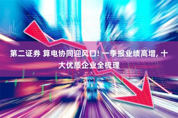 第二证券 算电协同迎风口! 一季报业绩高增, 十大优质企业全梳理