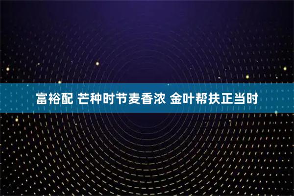 富裕配 芒种时节麦香浓 金叶帮扶正当时