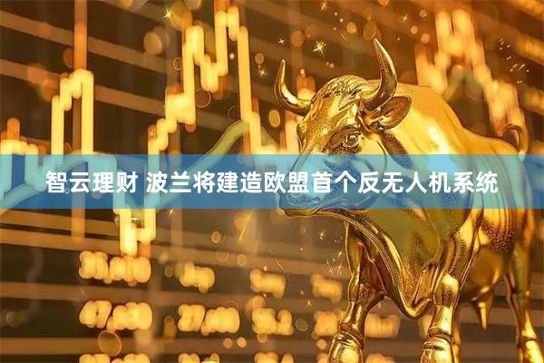 智云理财 波兰将建造欧盟首个反无人机系统