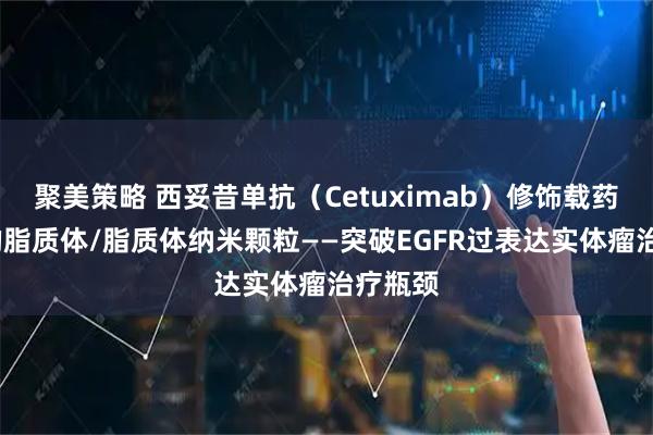 聚美策略 西妥昔单抗（Cetuximab）修饰载药/核酸的脂质体/脂质体纳米颗粒——突破EGFR过表达实体瘤治疗瓶颈