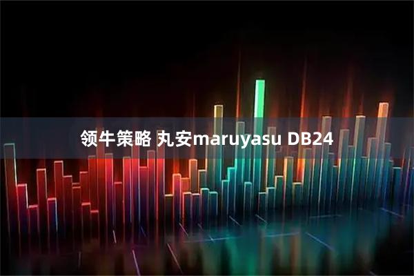 领牛策略 丸安maruyasu DB24