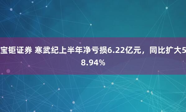 宝钜证券 寒武纪上半年净亏损6.22亿元，同比扩大58.94%