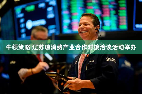 牛领策略 辽苏琼消费产业合作对接洽谈活动举办