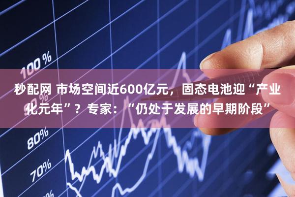 秒配网 市场空间近600亿元，固态电池迎“产业化元年”？专家：“仍处于发展的早期阶段”