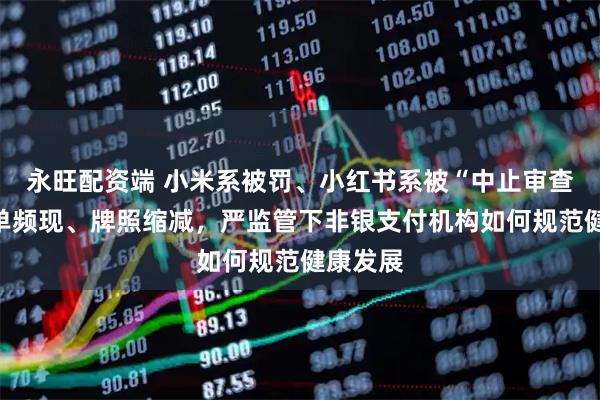 永旺配资端 小米系被罚、小红书系被“中止审查”：罚单频现、牌照缩减，严监管下非银支付机构如何规范健康发展