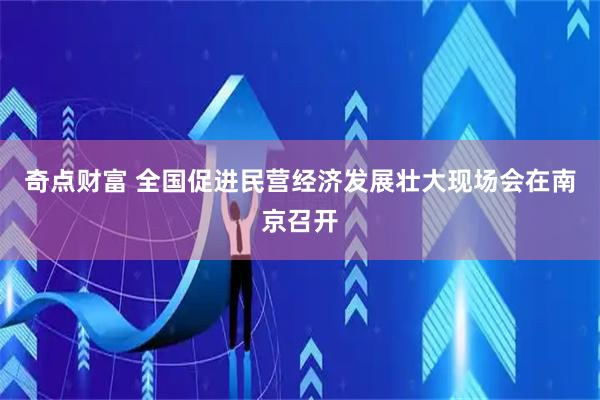 奇点财富 全国促进民营经济发展壮大现场会在南京召开