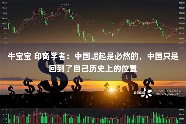 牛宝宝 印裔学者:中国崛起是必然的,中国只是回到了自己历史上的位置