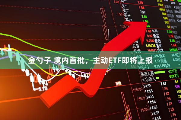 金勺子 境内首批，主动ETF即将上报